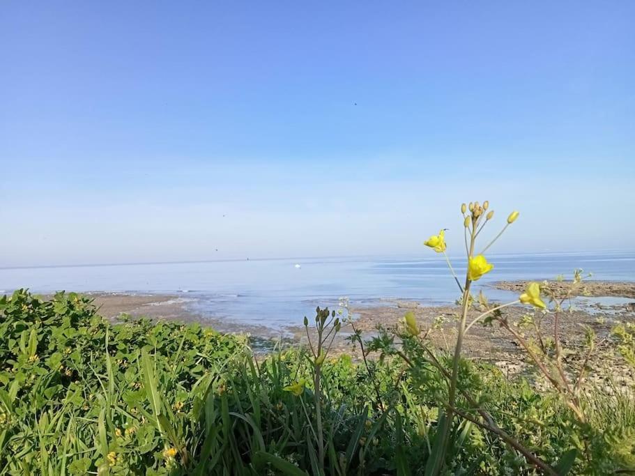 Villa Soleil D'Opale Et Son Grand Jardin Wimereux Exterior foto